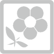Logo of Актив Партнерс ХХК